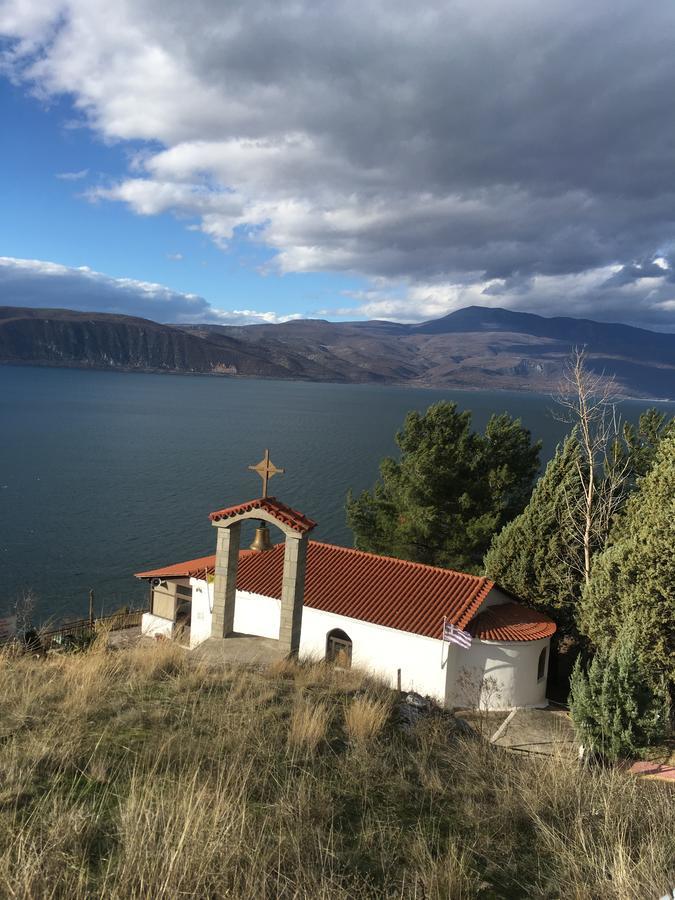 Vegoritida