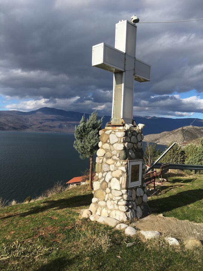 Vegoritida *